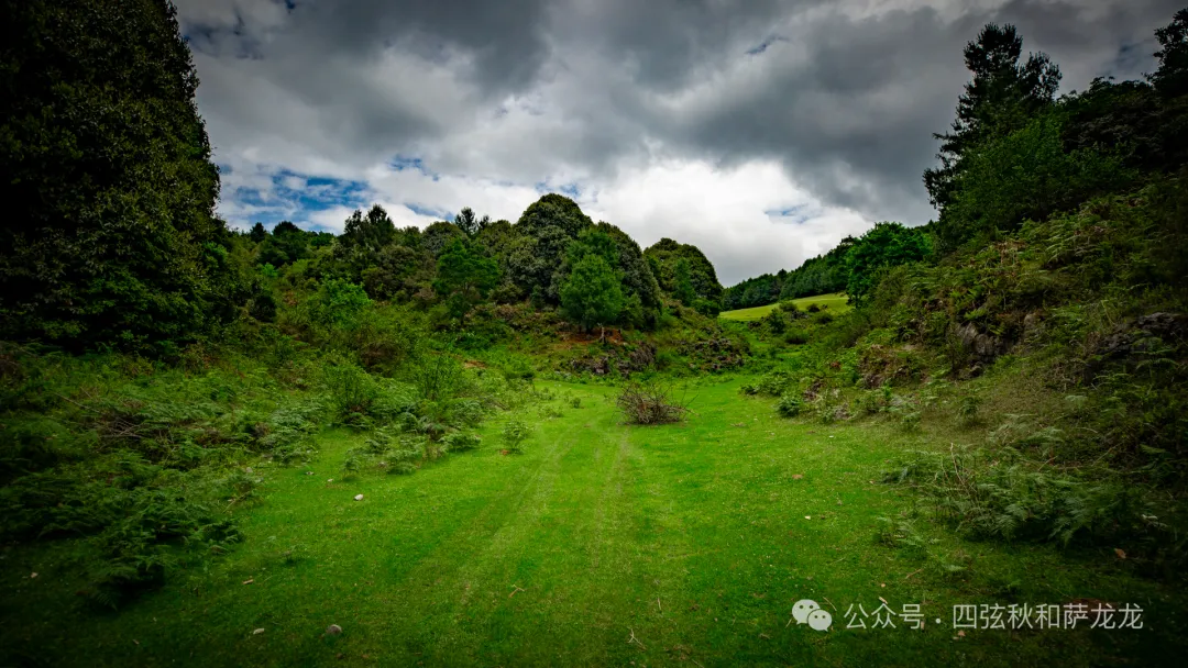 去大理巍山的这片高山草甸，吹吹阿勒泰里同款治愈系旷野的风 - 第24张