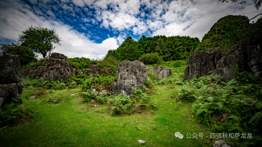 去大理巍山的这片高山草甸，吹吹阿勒泰里同款治愈系旷野的风 - 第25张