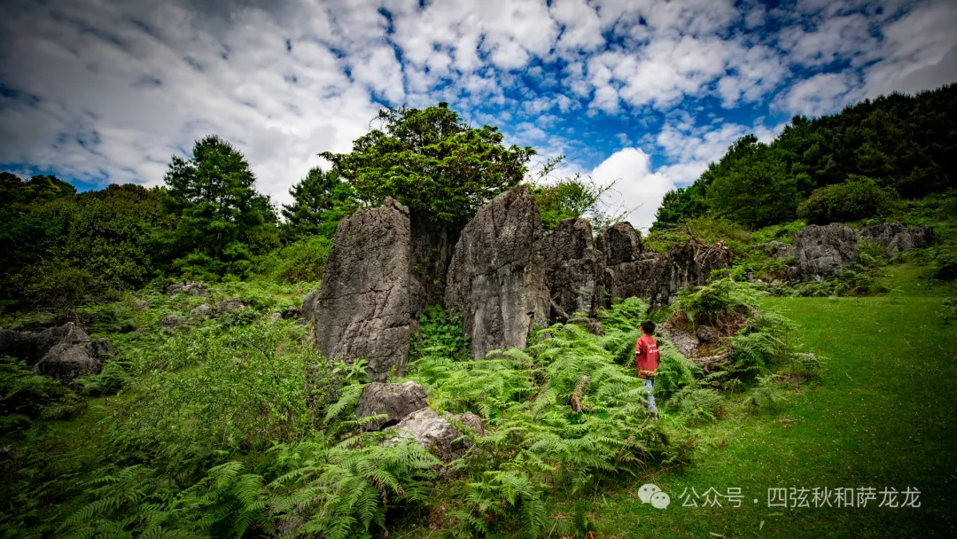 去大理巍山的这片高山草甸，吹吹阿勒泰里同款治愈系旷野的风 - 第26张