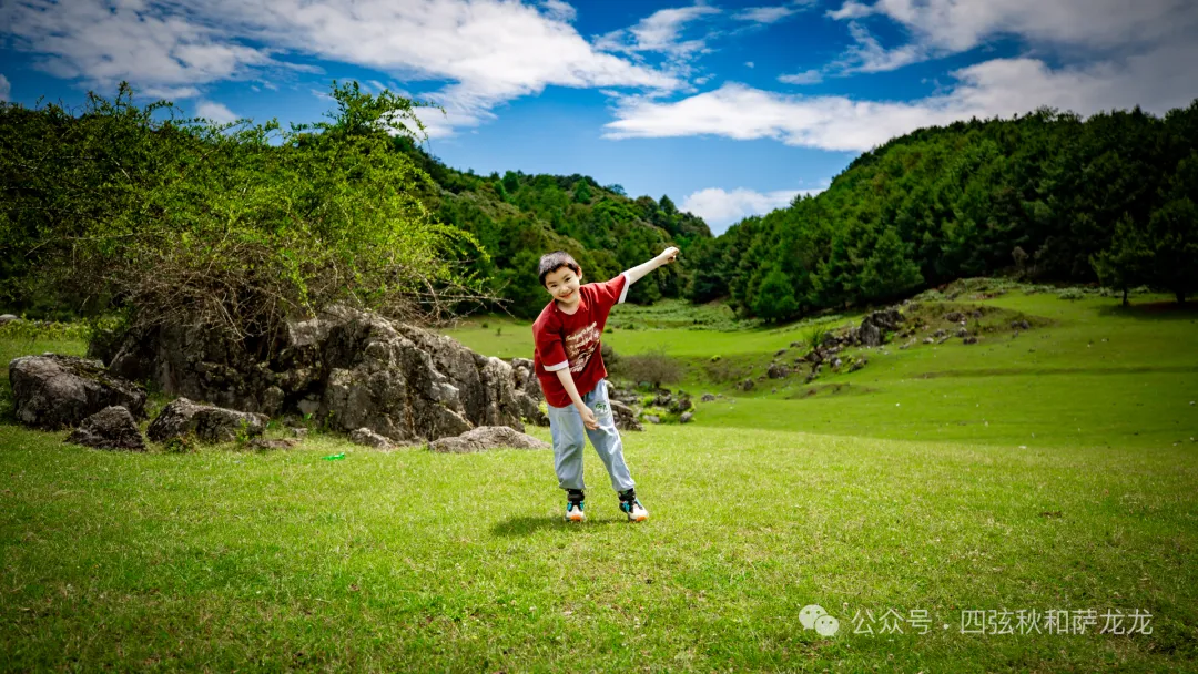 去大理巍山的这片高山草甸，吹吹阿勒泰里同款治愈系旷野的风 - 第30张