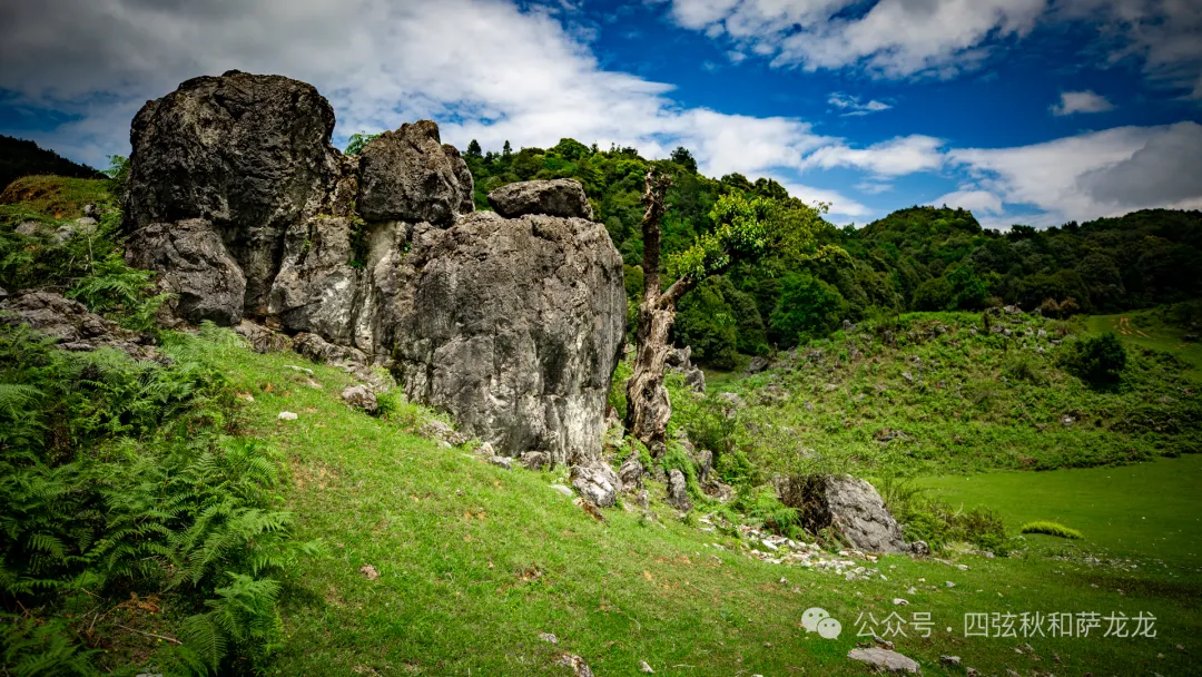 去大理巍山的这片高山草甸，吹吹阿勒泰里同款治愈系旷野的风 - 第36张