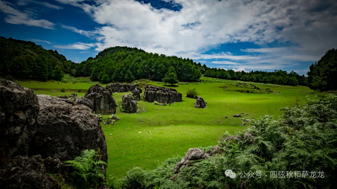 去大理巍山的这片高山草甸，吹吹阿勒泰里同款治愈系旷野的风 - 第40张