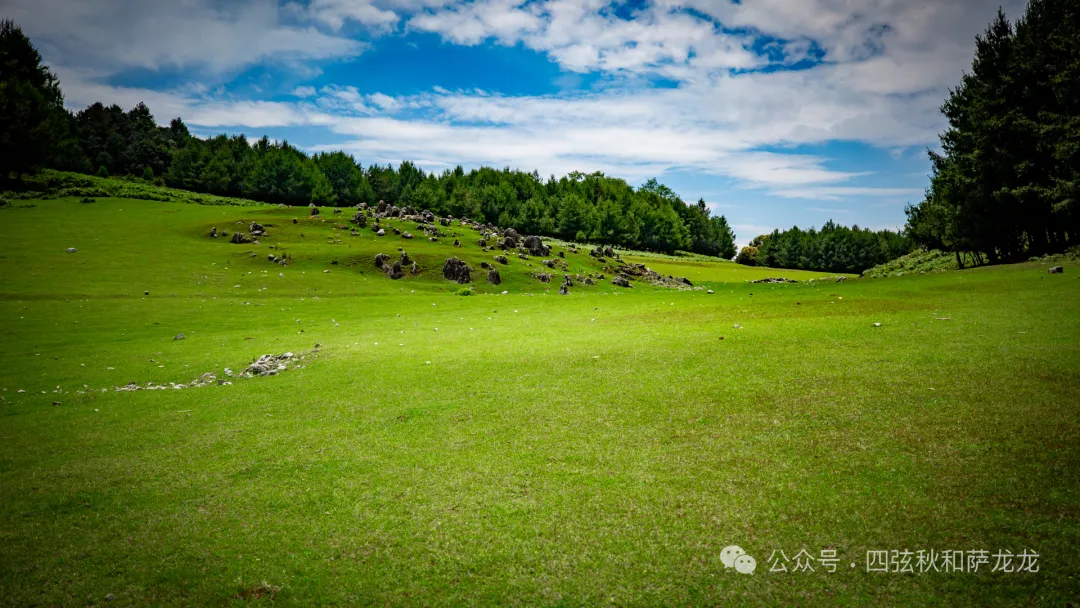去大理巍山的这片高山草甸，吹吹阿勒泰里同款治愈系旷野的风 - 第42张