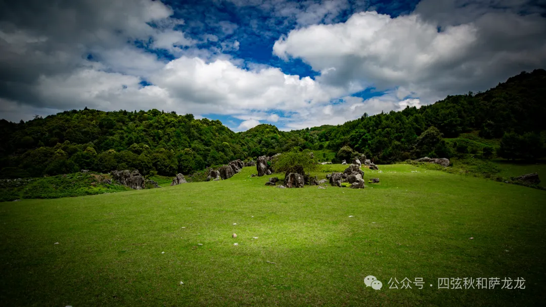 去大理巍山的这片高山草甸，吹吹阿勒泰里同款治愈系旷野的风 - 第43张