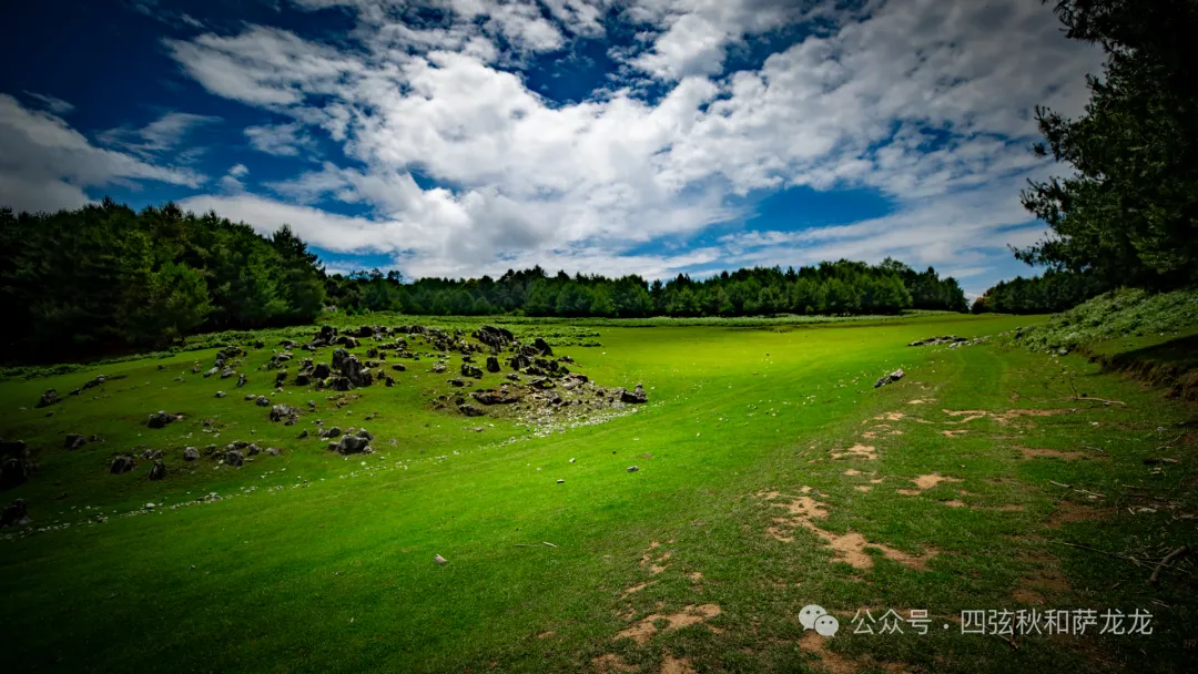 去大理巍山的这片高山草甸，吹吹阿勒泰里同款治愈系旷野的风 - 第44张