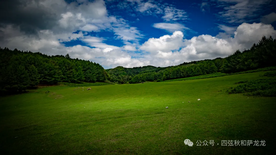 去大理巍山的这片高山草甸，吹吹阿勒泰里同款治愈系旷野的风 - 第46张