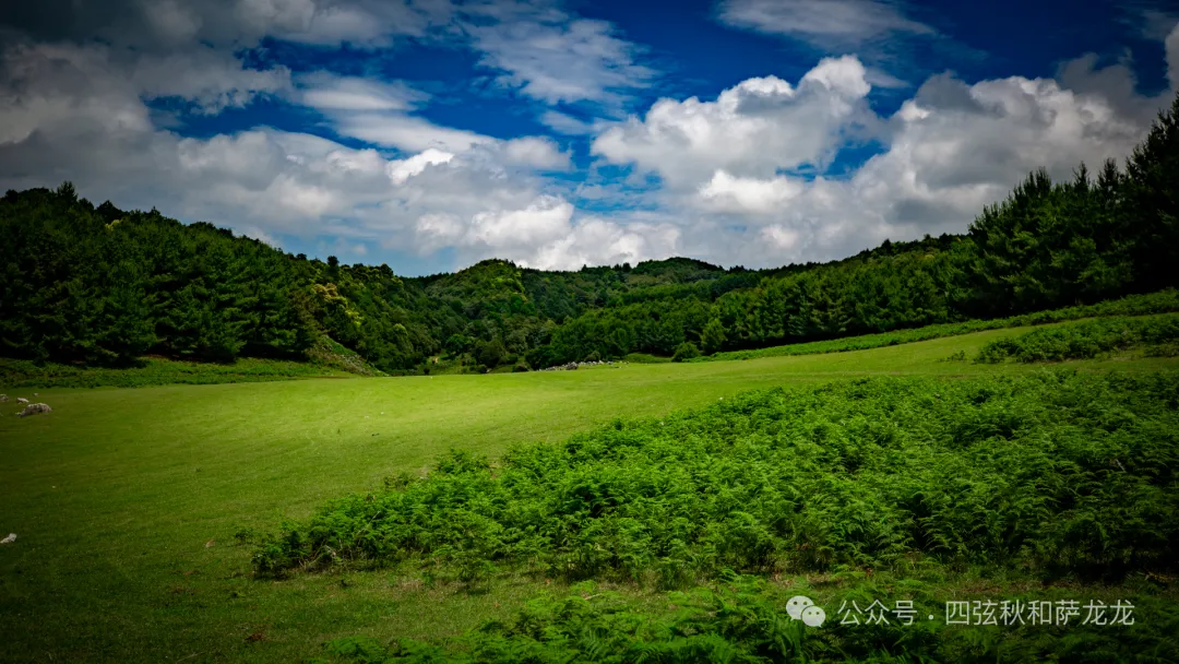 去大理巍山的这片高山草甸，吹吹阿勒泰里同款治愈系旷野的风 - 第47张