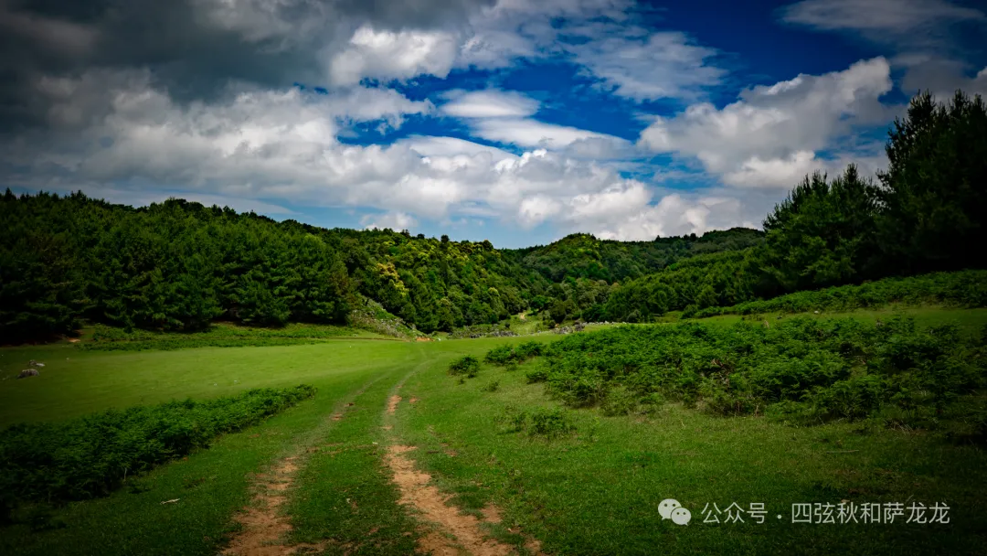 去大理巍山的这片高山草甸，吹吹阿勒泰里同款治愈系旷野的风 - 第48张