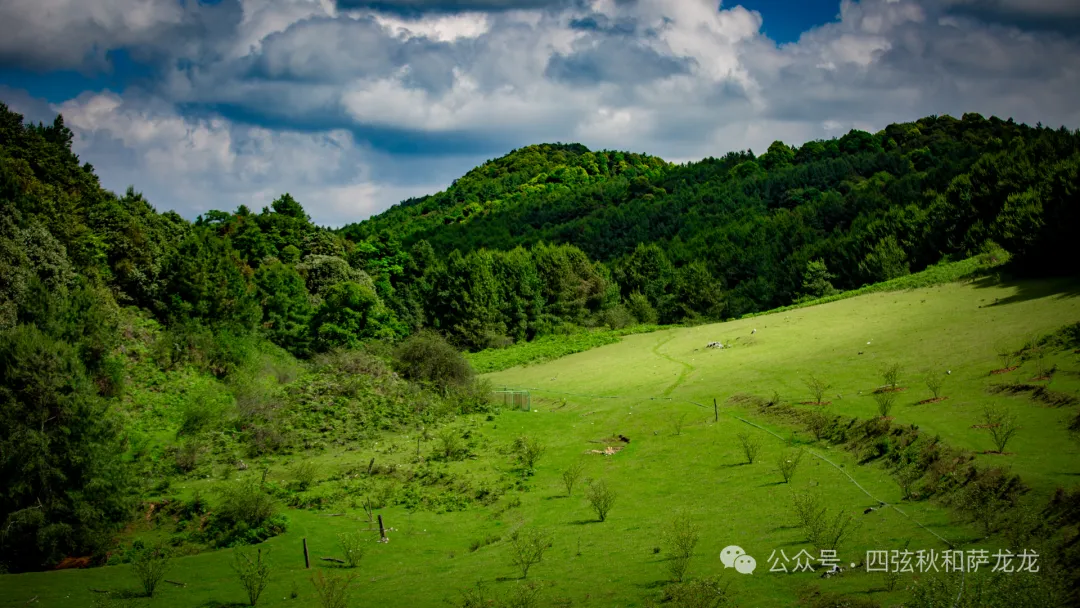 去大理巍山的这片高山草甸，吹吹阿勒泰里同款治愈系旷野的风 - 第57张