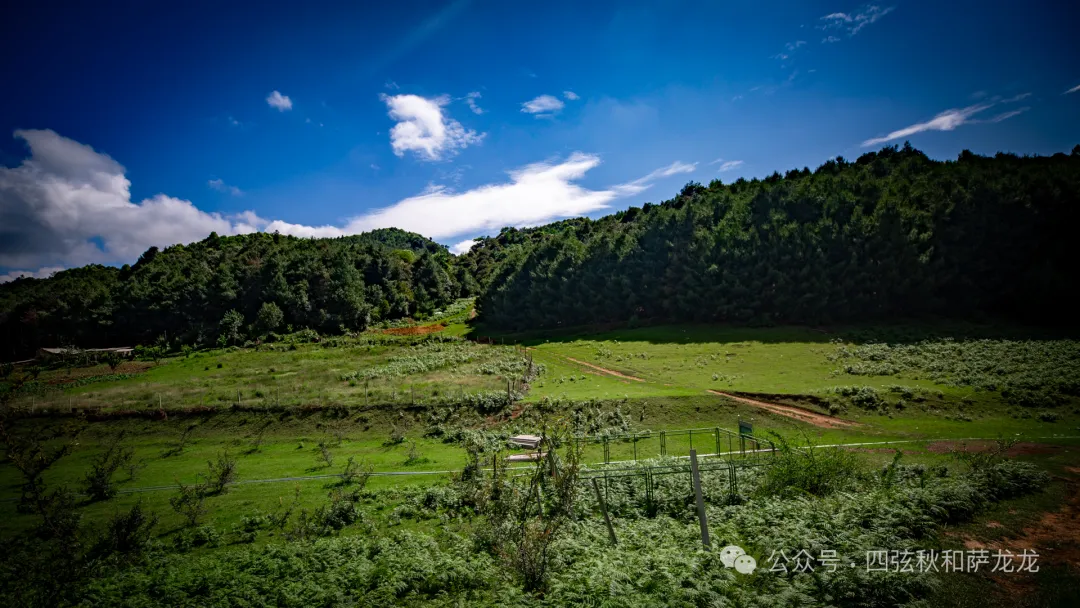 去大理巍山的这片高山草甸，吹吹阿勒泰里同款治愈系旷野的风 - 第58张