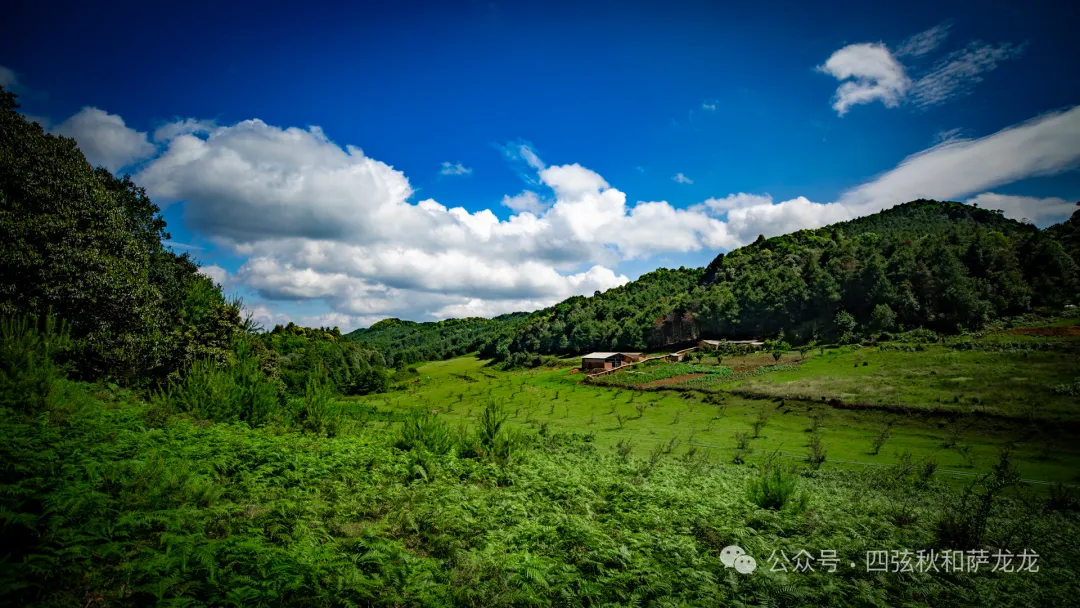 去大理巍山的这片高山草甸，吹吹阿勒泰里同款治愈系旷野的风 - 第59张