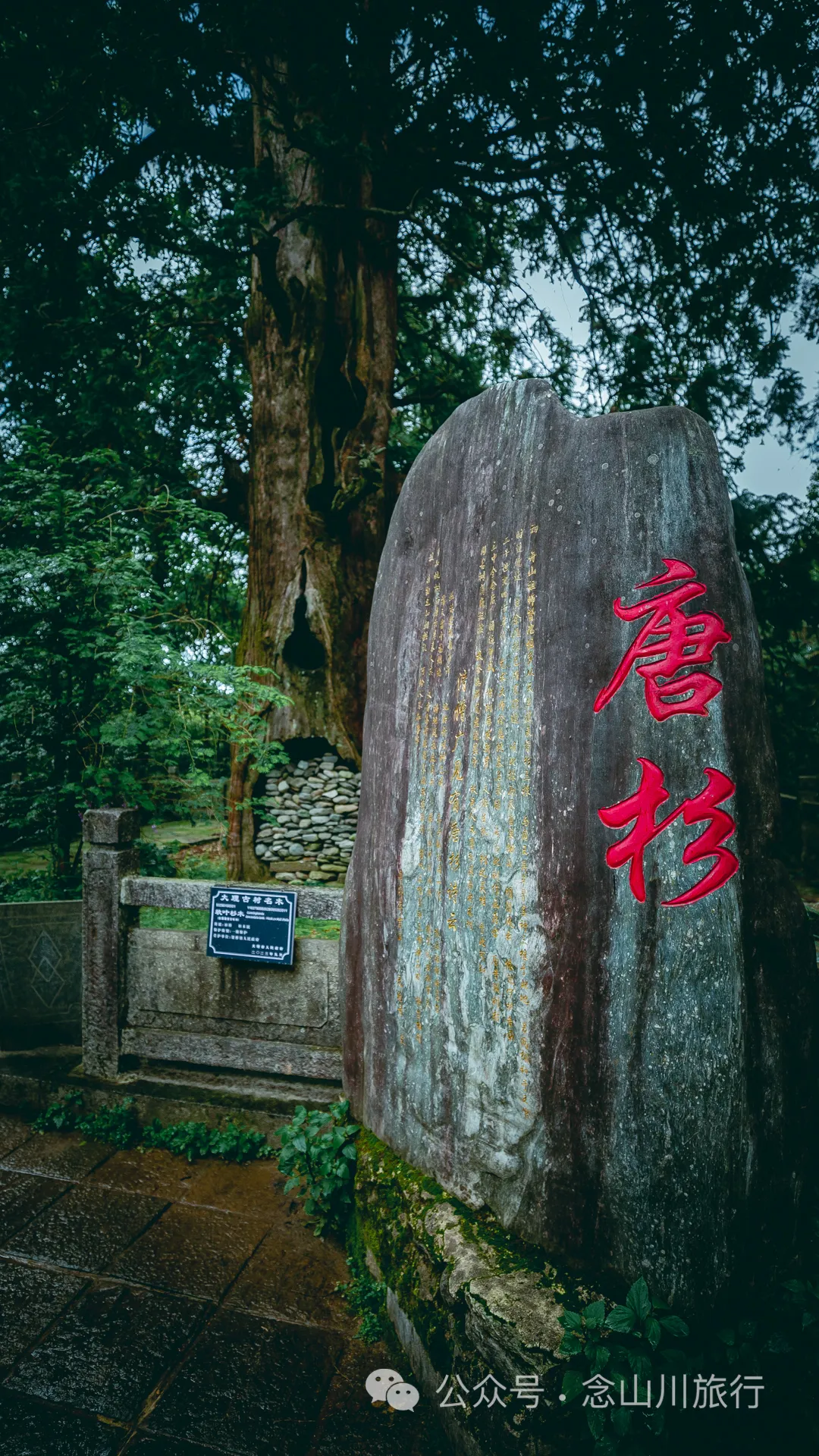 徒步大理苍山千年古刹无为寺，可礼佛吃斋，可寻幽探古，亦可访自然观自在 - 第16张