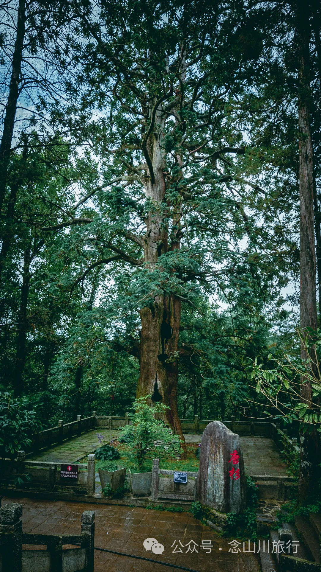 徒步大理苍山千年古刹无为寺，可礼佛吃斋，可寻幽探古，亦可访自然观自在 - 第17张