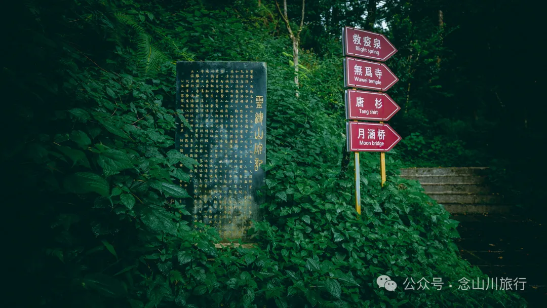 徒步大理苍山千年古刹无为寺，可礼佛吃斋，可寻幽探古，亦可访自然观自在 - 第4张