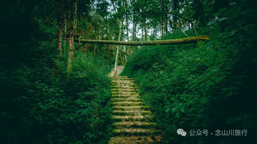徒步大理苍山千年古刹无为寺，可礼佛吃斋，可寻幽探古，亦可访自然观自在 - 第5张