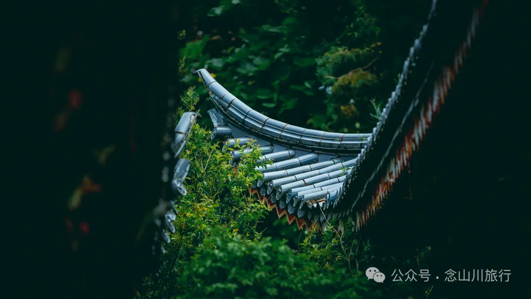 徒步大理苍山千年古刹无为寺，可礼佛吃斋，可寻幽探古，亦可访自然观自在 - 第8张
