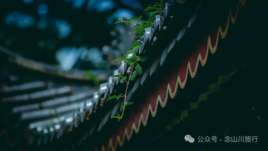 徒步大理苍山千年古刹无为寺，可礼佛吃斋，可寻幽探古，亦可访自然观自在 - 第9张
