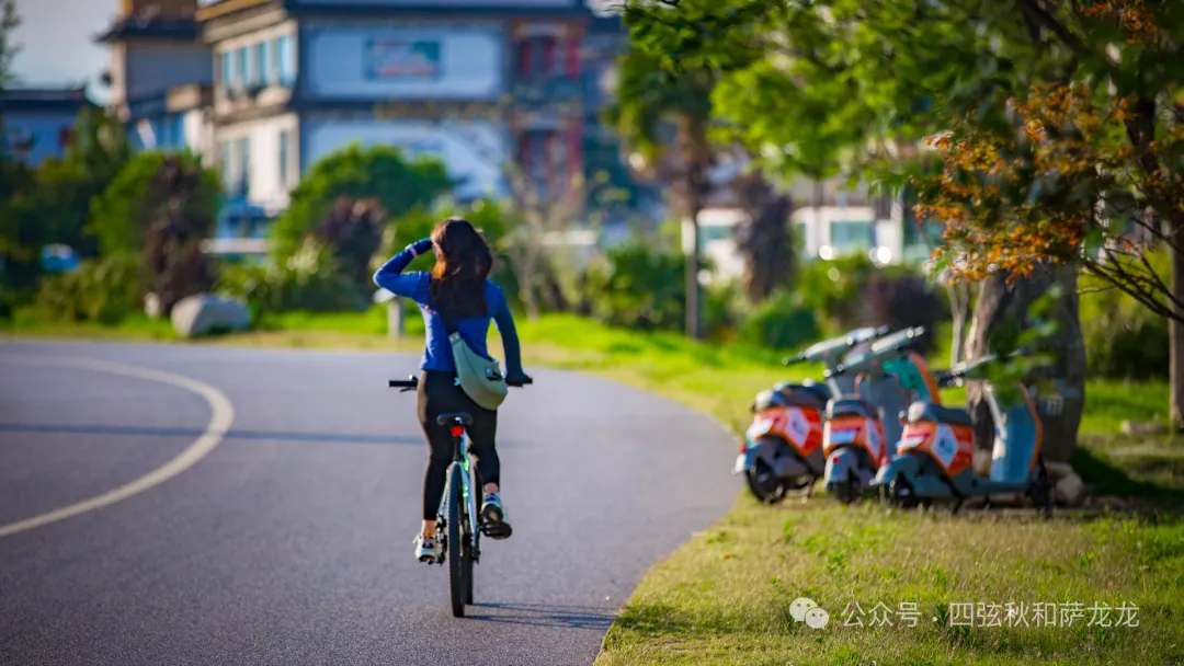 Xiajiyi Village, a Bai Ethnic Village by Erhai Lake in Dali: A Peaceful Village Caressed by Summer Night Breezes - Image 14