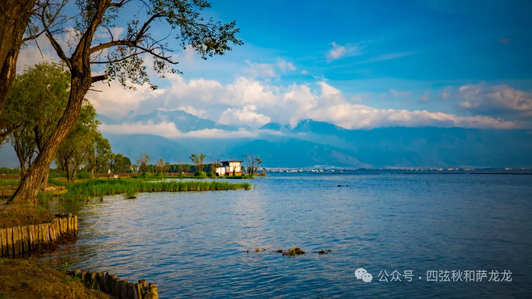 Xiajiyi Village, a Bai Ethnic Village by Erhai Lake in Dali: A Peaceful Village Caressed by Summer Night Breezes - Image 29