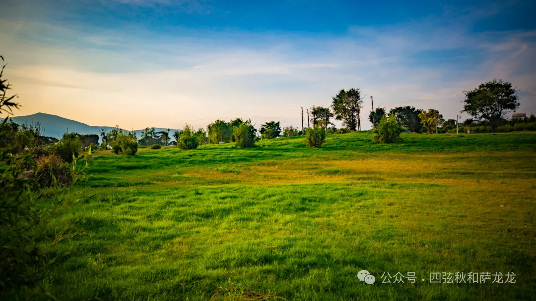 Xiajiyi Village, a Bai Ethnic Village by Erhai Lake in Dali: A Peaceful Village Caressed by Summer Night Breezes - Image 5