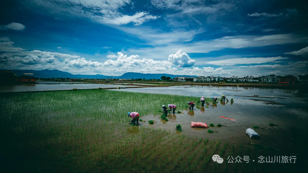 迷失在大理喜洲古镇：穿越苍山洱海的复古稻田梦 - 第38张