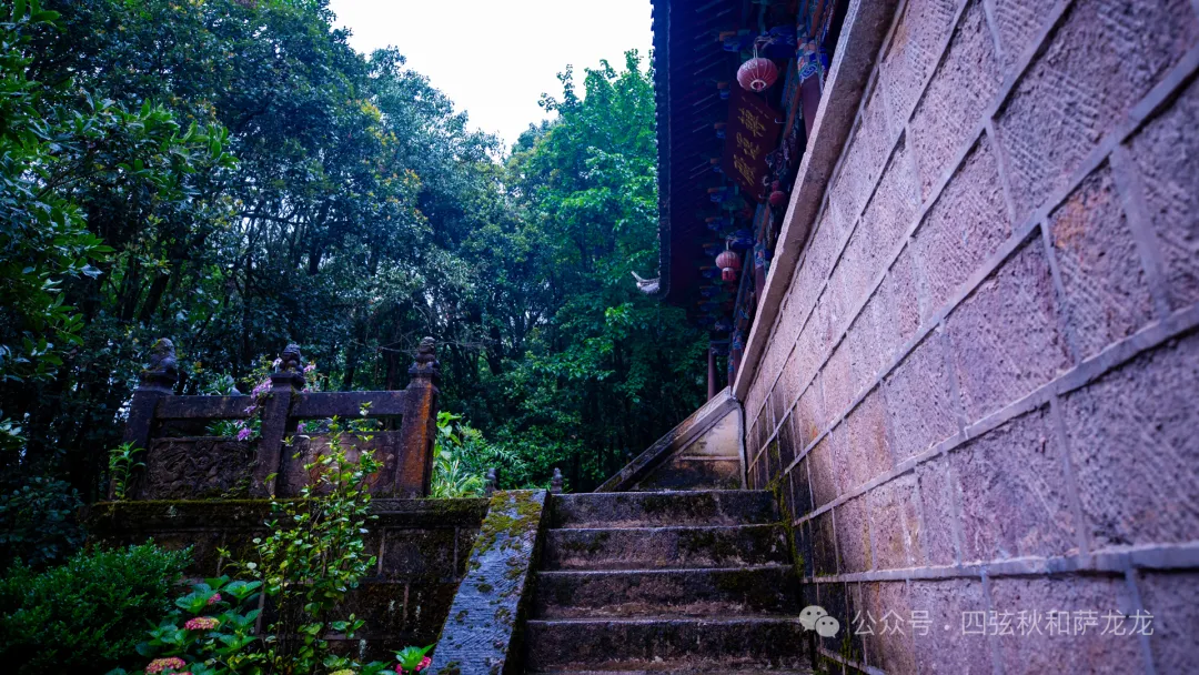 雨季提前！第一批可食用野生蘑菇已经在云南人的餐桌上了 - 第6张