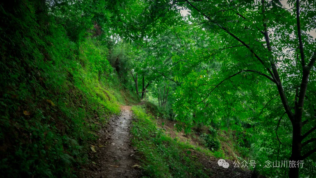 大理南涧老卜苴（jū）村：无量山中充满了诗情画意的汉族村落 - 第11张