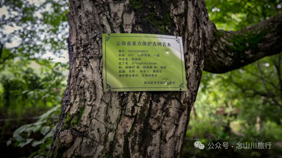 大理南涧老卜苴（jū）村：无量山中充满了诗情画意的汉族村落 - 第23张