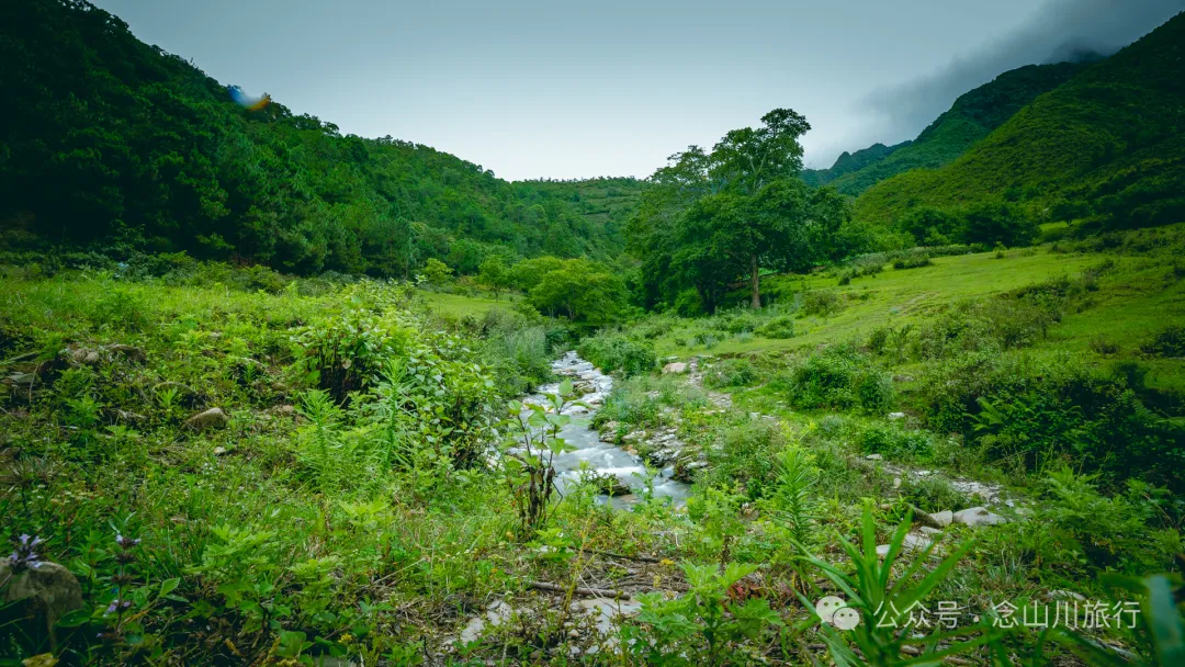 大理南涧无量山密比腊村高山草甸：在 22℃ 的夏季与野生菌有约 - 第10张