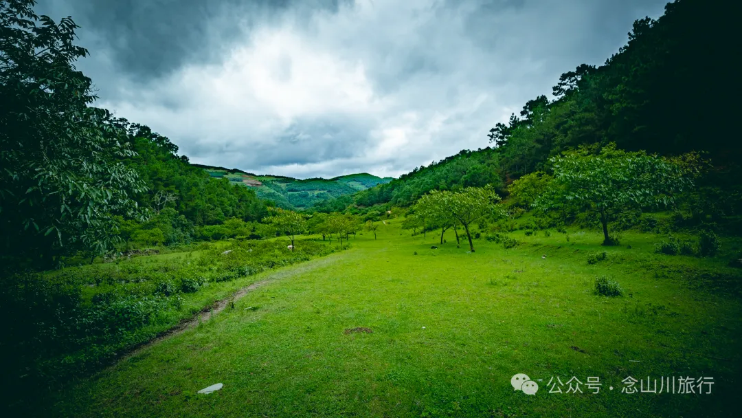 大理南涧无量山密比腊村高山草甸：在 22℃ 的夏季与野生菌有约 - 第11张