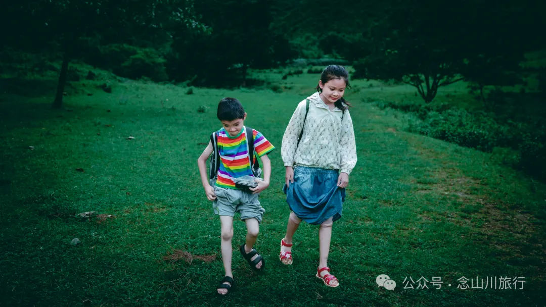 大理南涧无量山密比腊村高山草甸：在 22℃ 的夏季与野生菌有约 - 第12张