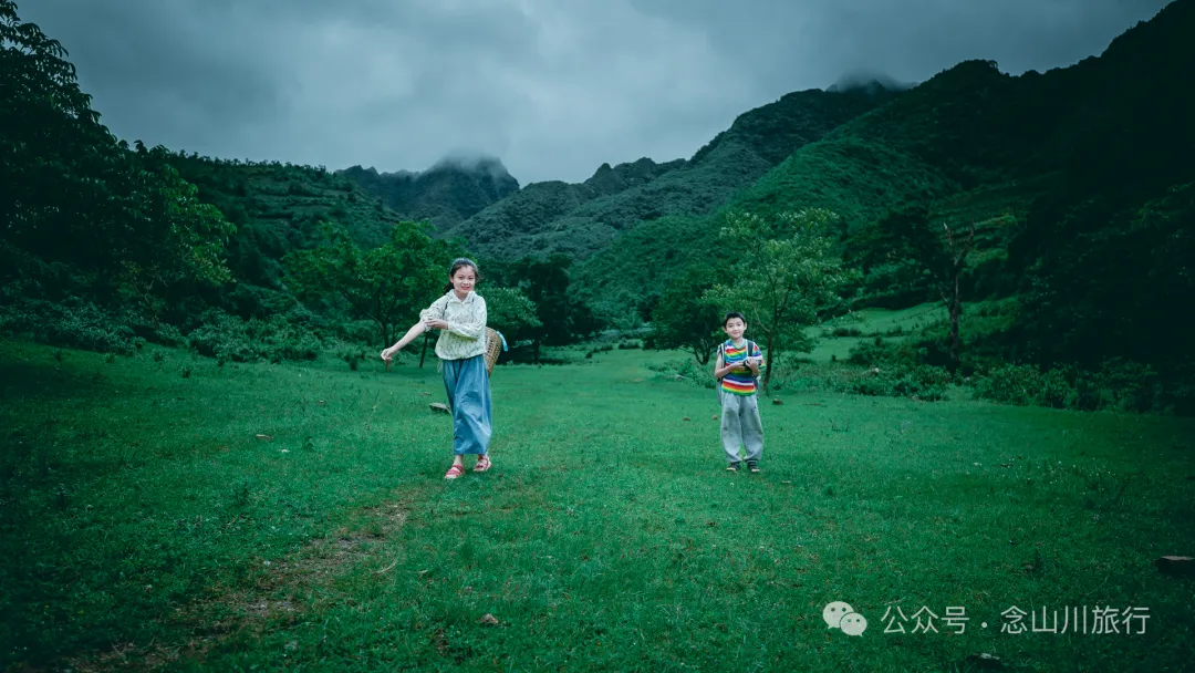 大理南涧无量山密比腊村高山草甸：在 22℃ 的夏季与野生菌有约 - 第15张