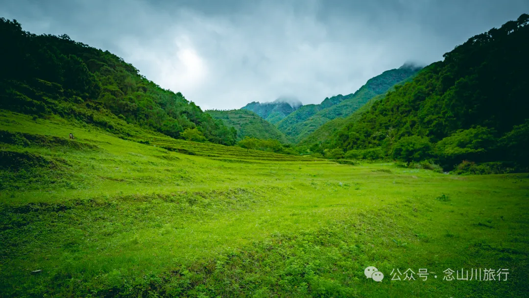 大理南涧无量山密比腊村高山草甸：在 22℃ 的夏季与野生菌有约 - 第18张