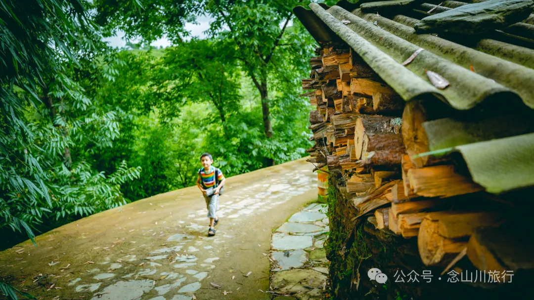 大理南涧无量山密比腊村高山草甸：在 22℃ 的夏季与野生菌有约 - 第21张