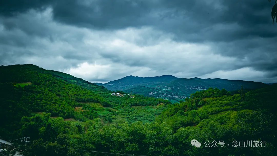 大理南涧无量山密比腊村高山草甸：在 22℃ 的夏季与野生菌有约 - 第22张