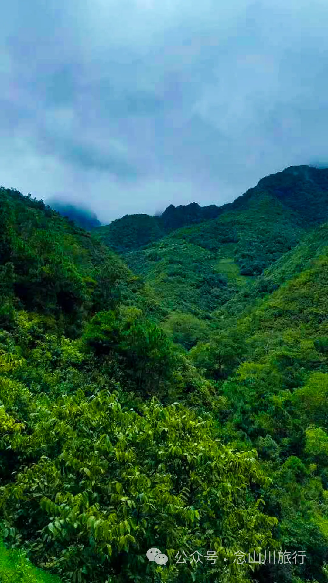 大理南涧无量山密比腊村高山草甸：在 22℃ 的夏季与野生菌有约 - 第23张