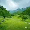 大理南涧无量山密比腊村高山草甸：在 22℃ 的夏季与野生菌有约