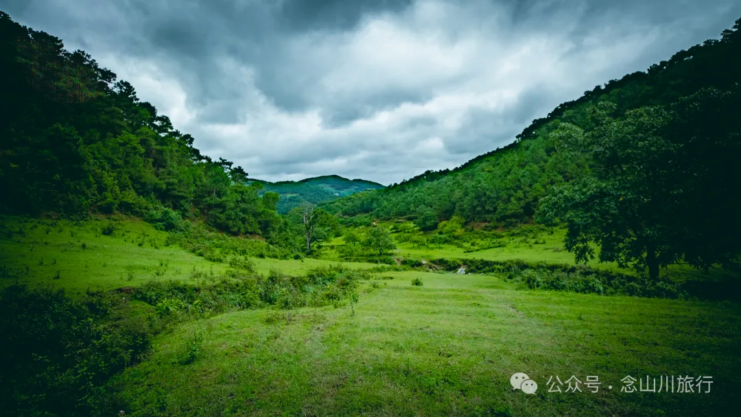 大理南涧无量山密比腊村高山草甸：在 22℃ 的夏季与野生菌有约 - 第7张
