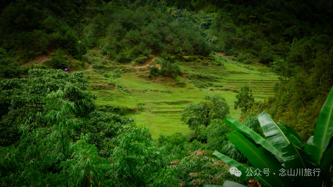 大理南涧密比腊村高山草甸:在无量山中的原始生态秘境里,做一个天真的孩童 - 第1张
