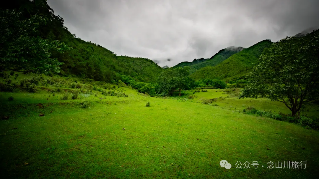 大理南涧密比腊村高山草甸:在无量山中的原始生态秘境里,做一个天真的孩童 - 第11张