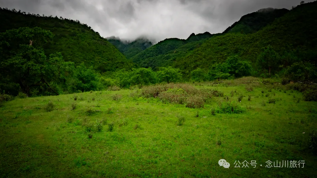 大理南涧密比腊村高山草甸:在无量山中的原始生态秘境里,做一个天真的孩童 - 第14张