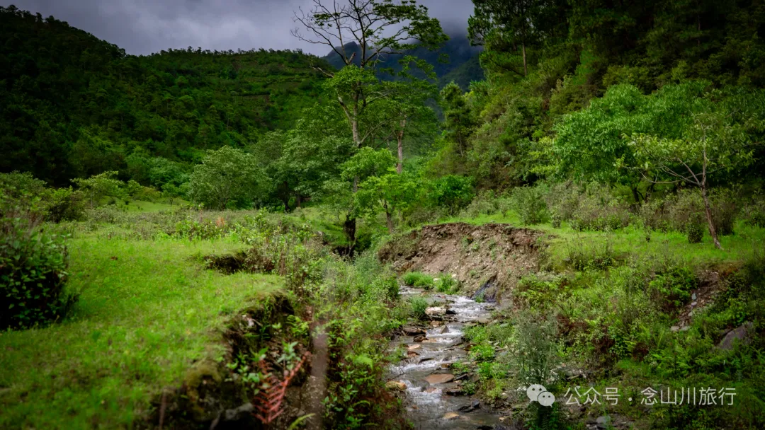 大理南涧密比腊村高山草甸:在无量山中的原始生态秘境里,做一个天真的孩童 - 第2张