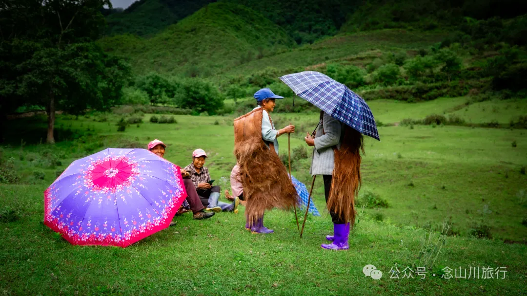 大理南涧密比腊村高山草甸:在无量山中的原始生态秘境里,做一个天真的孩童 - 第25张