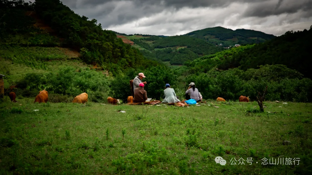 大理南涧密比腊村高山草甸:在无量山中的原始生态秘境里,做一个天真的孩童 - 第26张