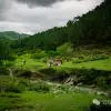 大理南涧密比腊村高山草甸：在无量山中的原始生态秘境里，做一个天真的孩童