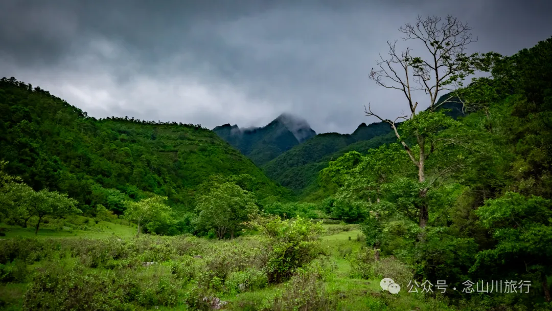 大理南涧密比腊村高山草甸:在无量山中的原始生态秘境里,做一个天真的孩童 - 第3张