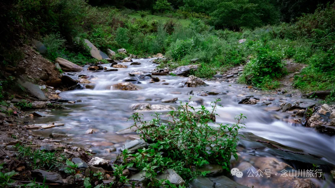 大理南涧密比腊村高山草甸:在无量山中的原始生态秘境里,做一个天真的孩童 - 第8张