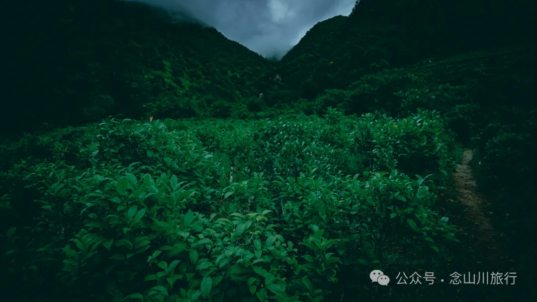 Dali Nanjian Laobuqu Village: The Mysterious Realm of Wuliang Mountain Amidst Clouds and Mist - Image 31