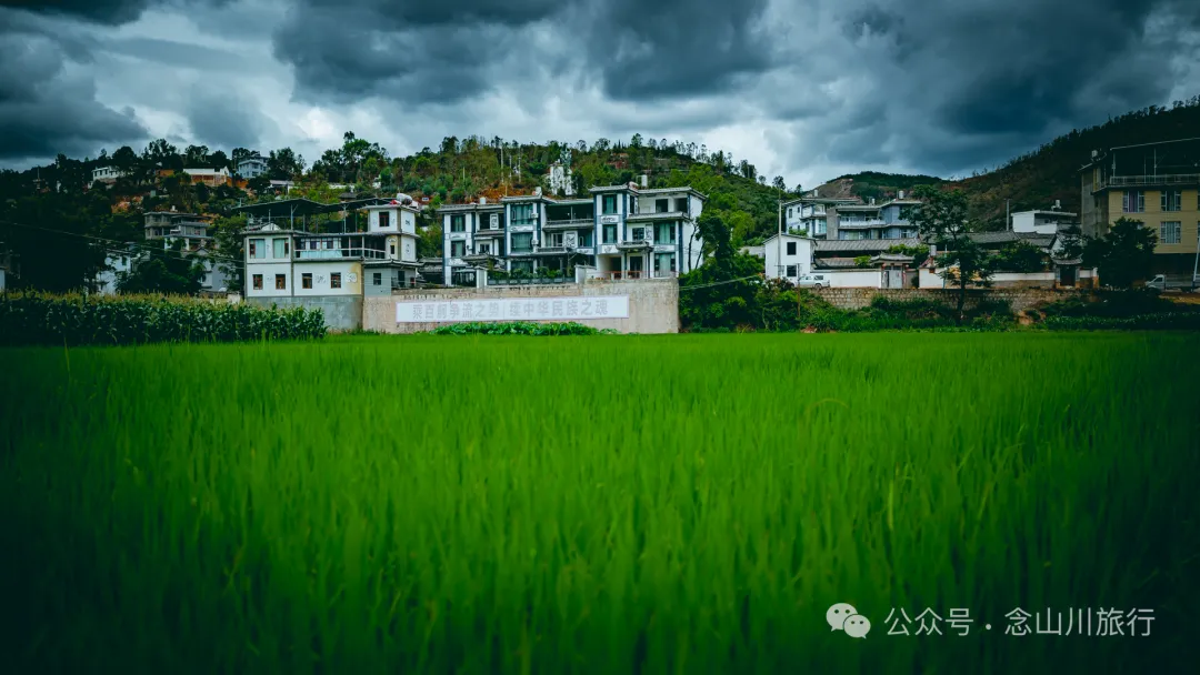 《天龙八部》中神仙姐姐的故里，无量山的神秘，樱花谷的浪漫，高山草甸秘境，跳菜之乡……这样的大理南涧你都见过吗？ - 第12张