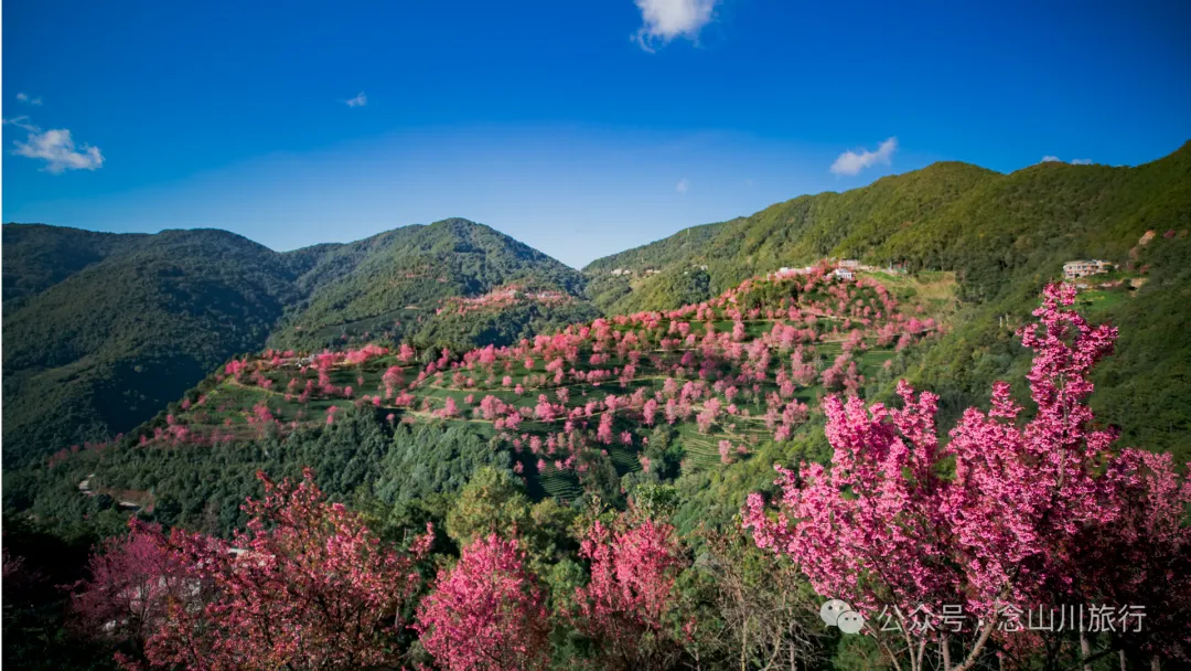 《天龙八部》中神仙姐姐的故里，无量山的神秘，樱花谷的浪漫，高山草甸秘境，跳菜之乡……这样的大理南涧你都见过吗？ - 第23张